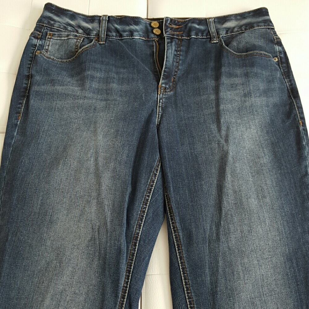 Lane Bryant Jeans